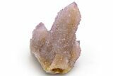 Cactus Quartz (Amethyst) Crystal Cluster - South Africa #237388-1
